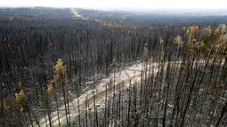 Kebakaran hutan terbesar yang pernah tercatat di British Columbia kini melingkupi seluruh wilayah Prince Edward Island. (AP Photo/Noah Berger)
