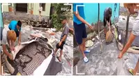 Viral Penemuan Puluhan Ular Bersarang di Kasur, Bikin Merinding