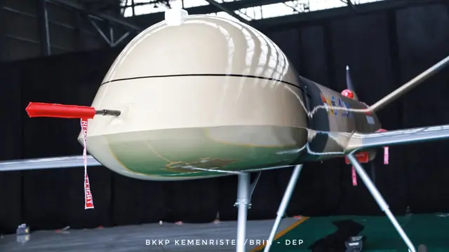 Drone