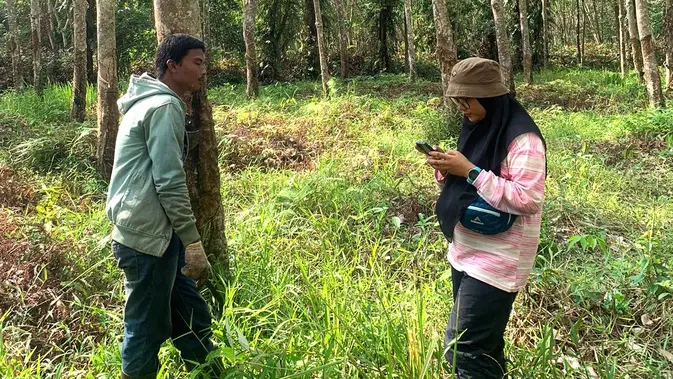 <p>Mita Rosnita saat melakukan survey dari salah satu lembaga survey di pelosok Musi Rawas Sumsel. Dia dengan mudah mengirimkan data survey ke aplikasi survey dengan jaringan internet Tri yang stabil walau di pelosok dan di dalam perkebunan karet (Dok. Pribadi Muta Rosnita / Nefri Inge)</p>