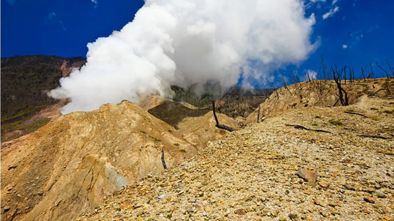 Keindahan yang Tak Kunjung Berakhir di Gunung Papandayan