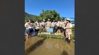 Program penanaman 500 bibit mangrove dilakukan di Pantai Nipah, Desa Malaka, Kecamatan Pemenang, Lombok Utara, Provinsi Nusa Tenggara Barat (NTB). (Ist)