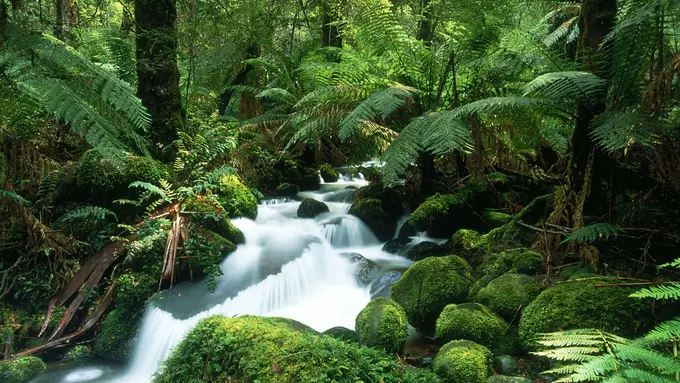 Bintang 5: Hewan Unik, Gurun Pasir Terindah, Dunia Es