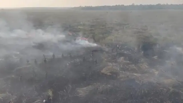 Api Kembali Muncul di TN Way Kambas, Total 774 Hektare Terbakar
