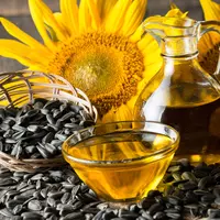 Ilustrasi/copyrightshutterstock/Eugenia Lucasenco