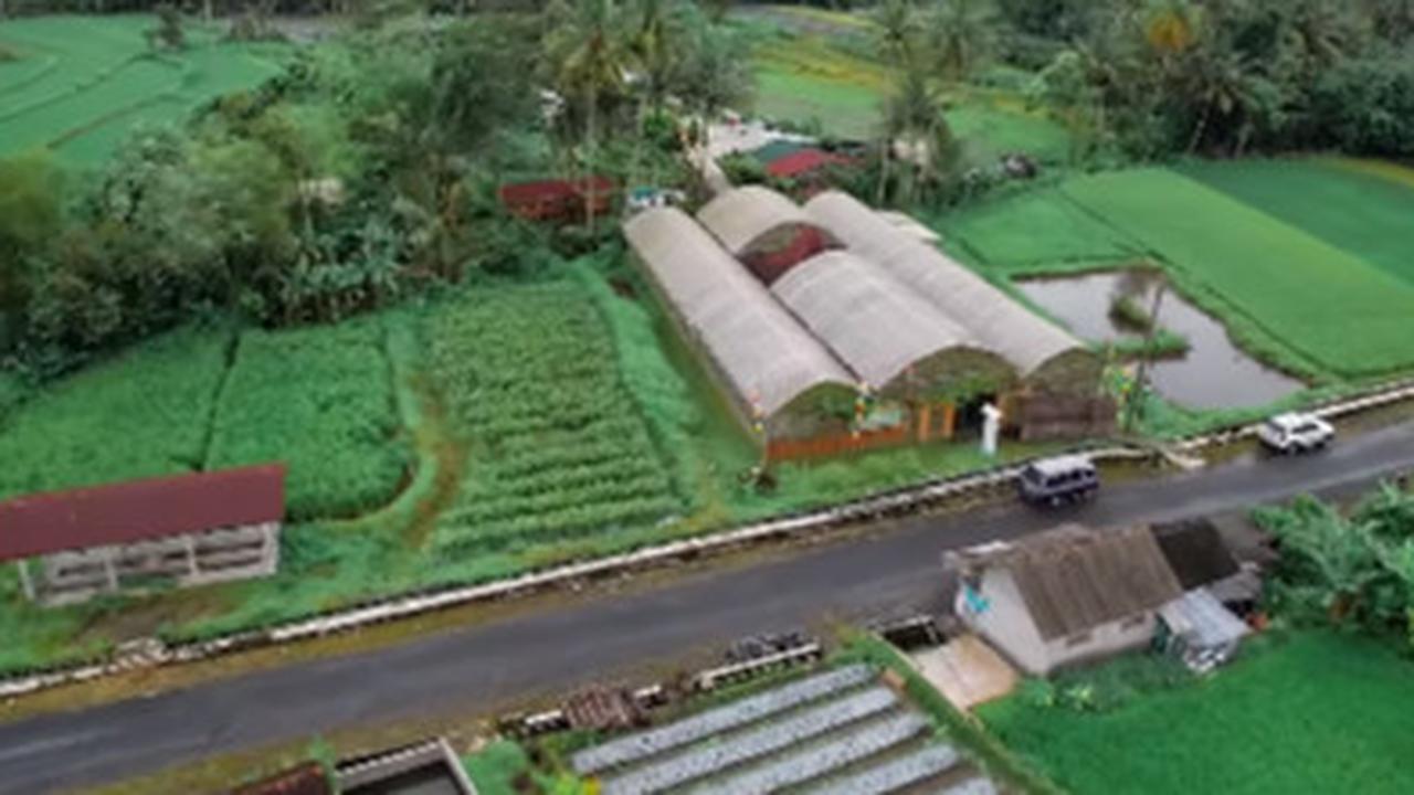 Jatuh Bangun Usai Resign Bekerja dari Kapal Pesiar