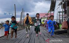 Trivia: Panen Udang Melimpah, Inovasi Tambak Mangrove Unmul Berdayakan Petambak Pesisir Kukar