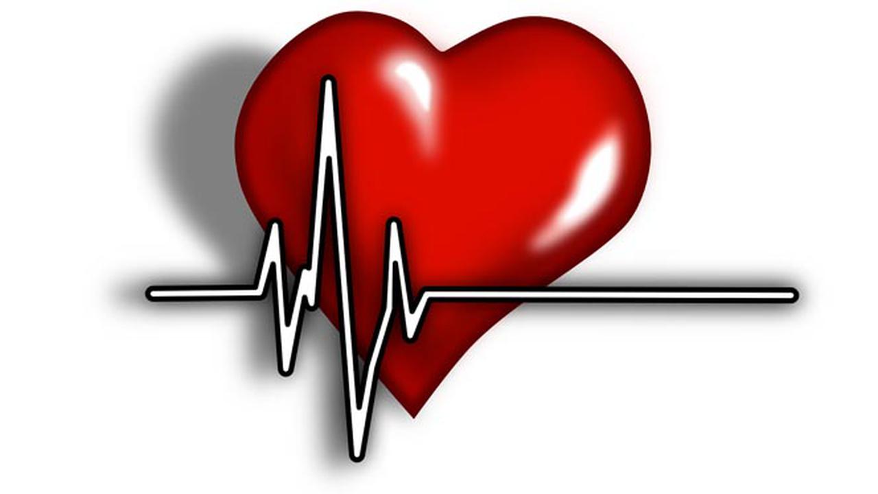  5 Penyebab Terbesar Kematian Di Dunia