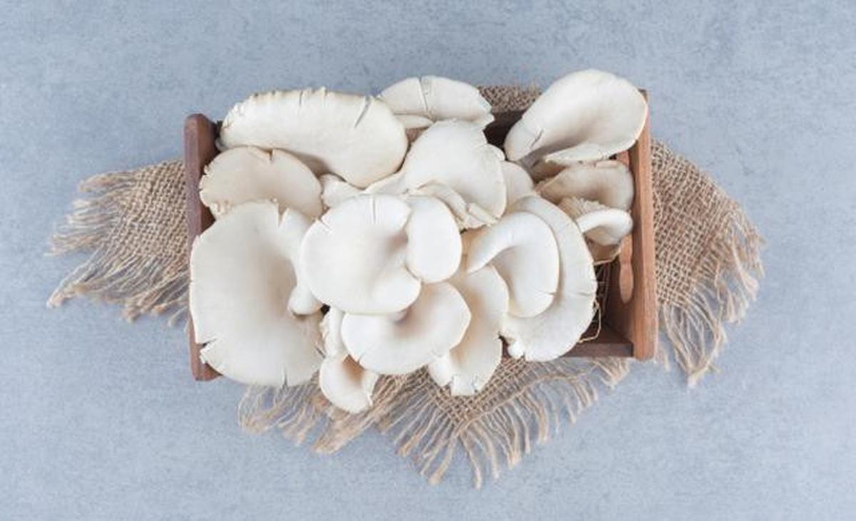 5 Cara Menyimpan Sayur agar Segar Hingga Seminggu, Anti Layu dan Hemat Uang