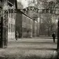 Auschwitz. (Sumber PxHere)