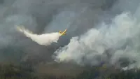 Kebakaran Hutan Kanada Makin Parah, Ribuan Warga Mengungsi