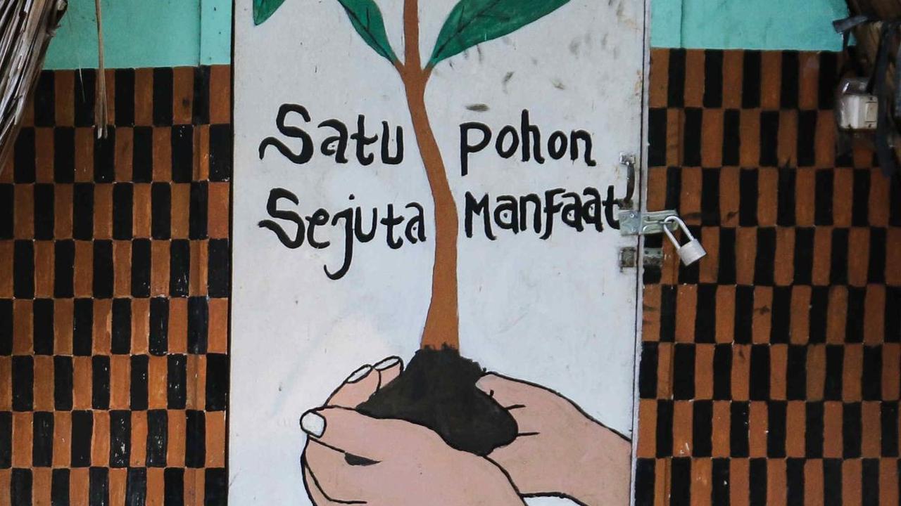 Sementara itu, pohon mangrove juga memiliki banyak manfaat seperti mampu meredam ombak besar termasuk Tsunami.