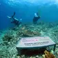 BRI Grow &amp; Green Coral Reef merupakan kegiatan transplantasi terumbu karang guna meningkatkan tutupan terumbu karang.