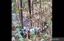Tragedi Udara di Hutan Mentewe: Helikopter BK117 D3 Jatuh Terbakar Hangus di Kalsel