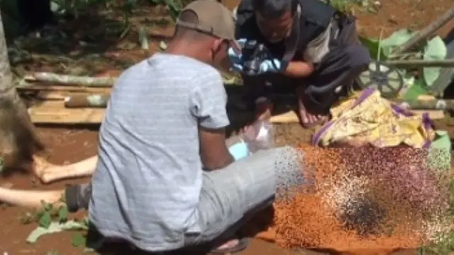 kasus pembunuhan