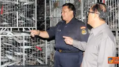 Citizen6, Jakarta: PT. KMC menyalahi periizinan karena memakai sertifikasi pelepasan makarel padahal fakta yang ditemukan di lapangan berupa ikan kembung banjar. (Pengirim: Efrimal Bahri)