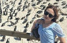 Aura Terpancar, 8 Foto Pesona Lady Rara Ketika Memakai Kacamata Hitam!