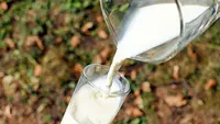 7 Makanan Sehat untuk Sahur dan Berbuka, Mulai dari Susu hingga Kurma