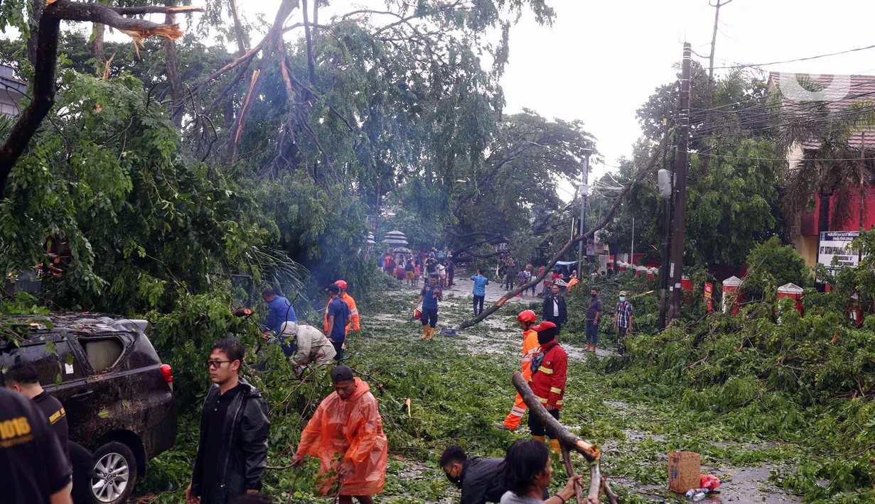 Warga membersihkan dahan pohon tumbang yang menimpa mobil di Kota Tangerang, Banten, Kamis (23/12/2021). Puluhan pohon dan gapura tumbang akibat terjangan angin kencang saat hujan lebat melanda Kota Tangerang. (Liputan6.com/Angga Yuniar)