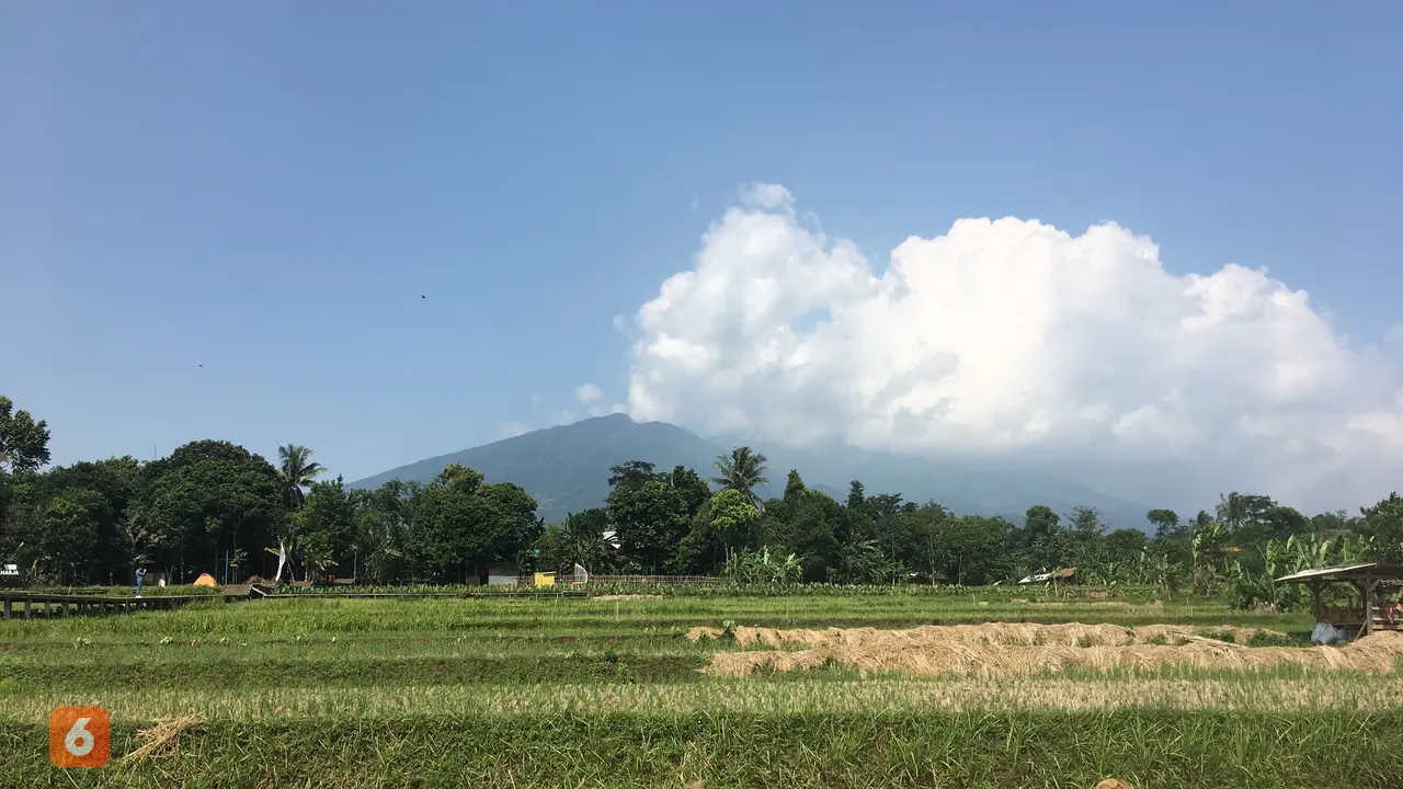 Agro Eduwisata Organik Mulyaharja