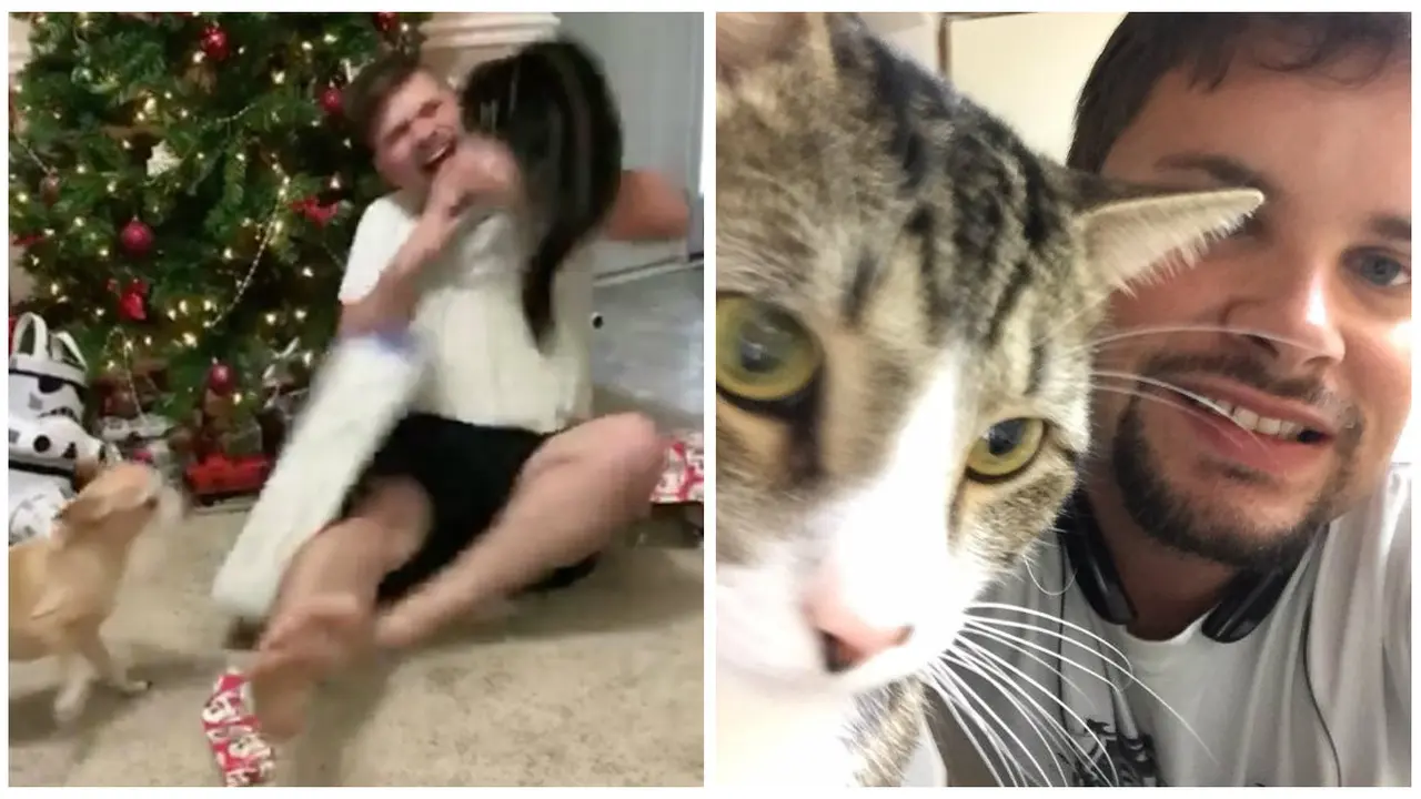 Serangan 'Maut' Kucing Terhadap Pria yang Gembira Buka Kado Natal