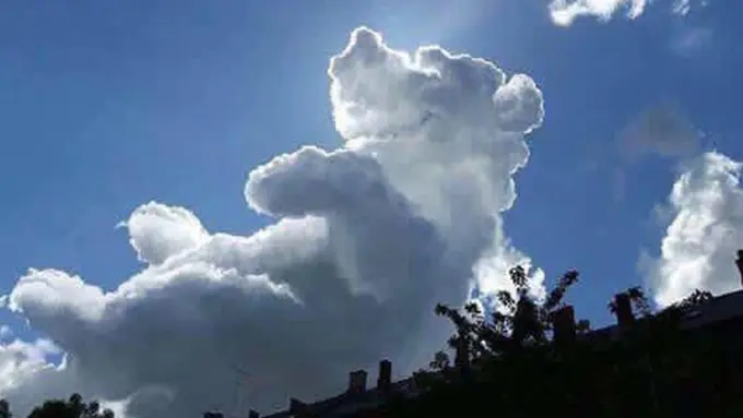 Photo: Copyright today.com