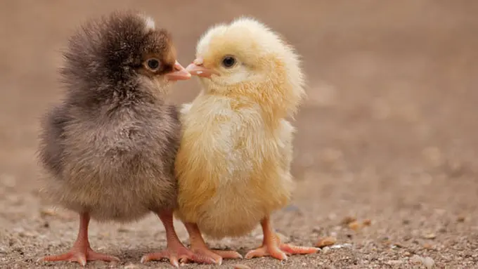 (c) shutterstock.com