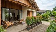 8 Tanaman dalam Pot untuk Membatasi Pandangan ke Teras, Solusi Hijau untuk Rumah yang Terlalu Terbuka