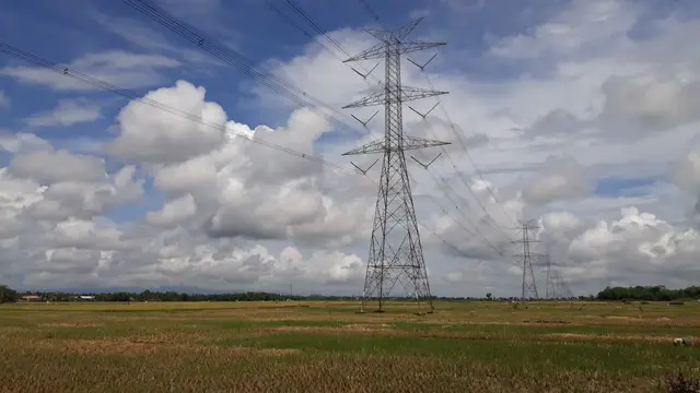 Panen raya di wilayah Sidareja, Cilacap sudah hampir usai. (Foto: Liputan6.com/Muhamad Ridlo)