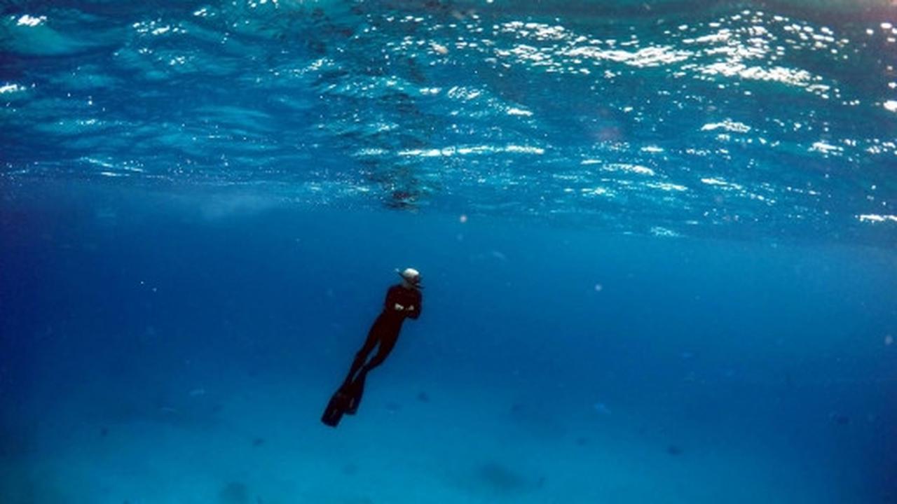 Melihat ribuan terumbu karang rusak parah di laut Queensland