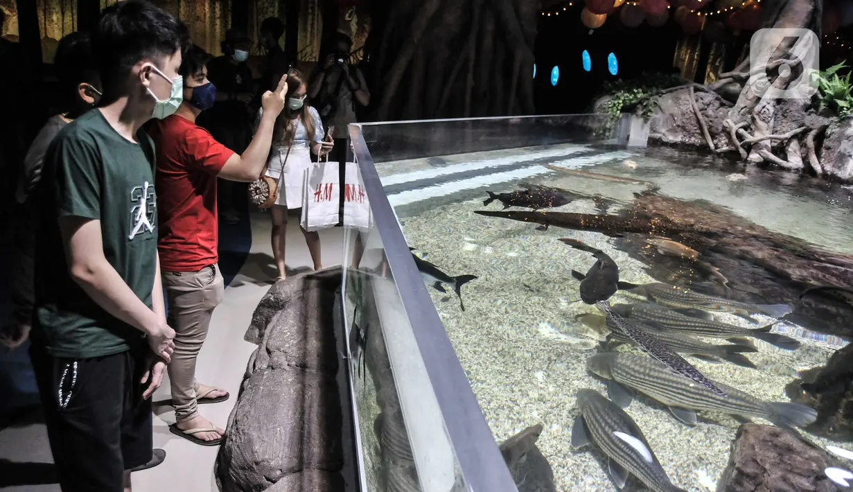 Pengunjung mengamati koleksi biota laut di Jakarta Aquarium & Safari (JAQS), Neo Soho Mall, Jakarta, Rabu (21/4/2021). JAQS sekaligus mengedukasi anak-anak tentang ekosistem biota laut dan air tawar. (merdeka.com/Iqbal S. Nugroho)