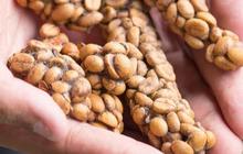 Mengunjungi Tempat Produksi Kopi Luwak di Lereng Gunung Ijen, Hasilkan Kopi Berharga Ratusan Ribu Rupiah per Kilogram