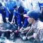 Hewan Ternak sapi menjadi salah satu hewan yang sering dikurbankan saat Idhul Adha (dok.humas Palembang DPC Partai Demokrat/ Nefri Inge)