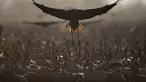 Kawanan burung bangau yang melakukan migrasi berkumpul di kawasan konservasi Danau Hula, utara Laut Galilea, Israel, Rabu (24/2/2021). Lebih dari setengah miliar burung dari sekitar 400 spesies berbeda melewati Lembah Jordan ke Afrika dan kembali ke Eropa sepanjang tahun ini. (AP Photo/Oded Balilty)