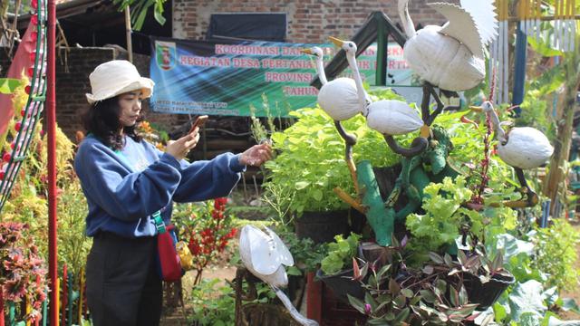 Kelompok Wanita Tani Di Lampung Tengah Galakkan Produksi Tanaman Hidroponik Bisnis Liputan6 Com