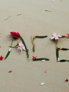 Ilustrasi perdamaian. (Photo by Disha Sheta from Pexels)