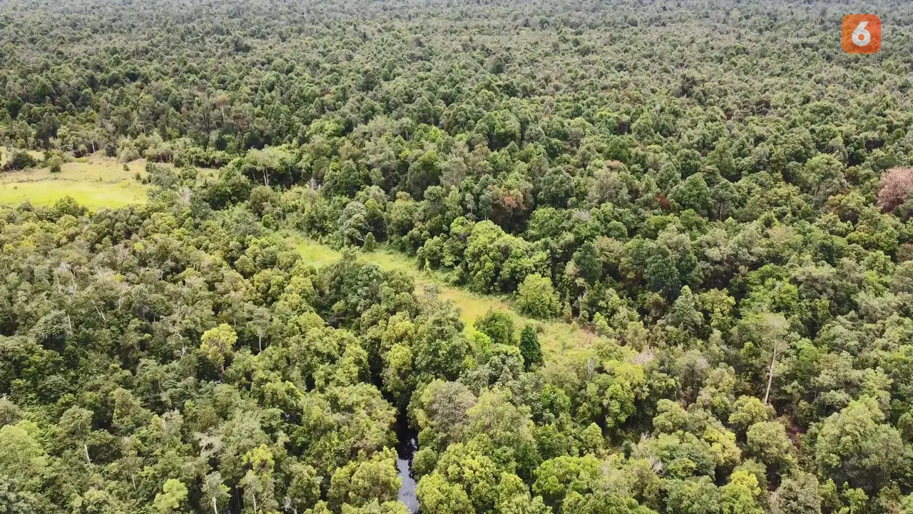 Hutan Desa Genting Tanah