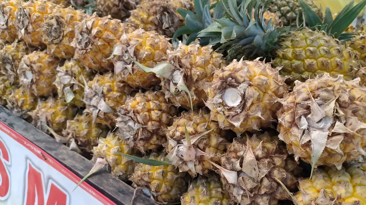 Deretan nanas madu pemalang yang mulai membanjiri pusat perkotaan Garut, Jawa Barat.