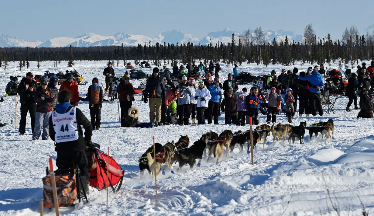 Penonton menyaksikan musher Jessie Holmes meninggalkan garis start Iditarod Sled Dog Race di Deshka Landing di Willow, Alaska, Minggu (7/3/2021). Sled Dog Trail merupakan lomba balap kereta luncur yang ditarik oleh anjing yang digelar tiap tahun. (Marc Lester/Anchorage Daily News via AP)