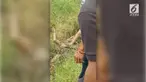Awalnya pria yang bekerja sebagai tukang instalasi listrik ini dinyatakan sudah tak bernyawa. Salah satu warga menyarankan agar tubuh si pria dikubur di dalam lumpur. Hasilnya pun mengejutkan, pria itu kembali hidup.
