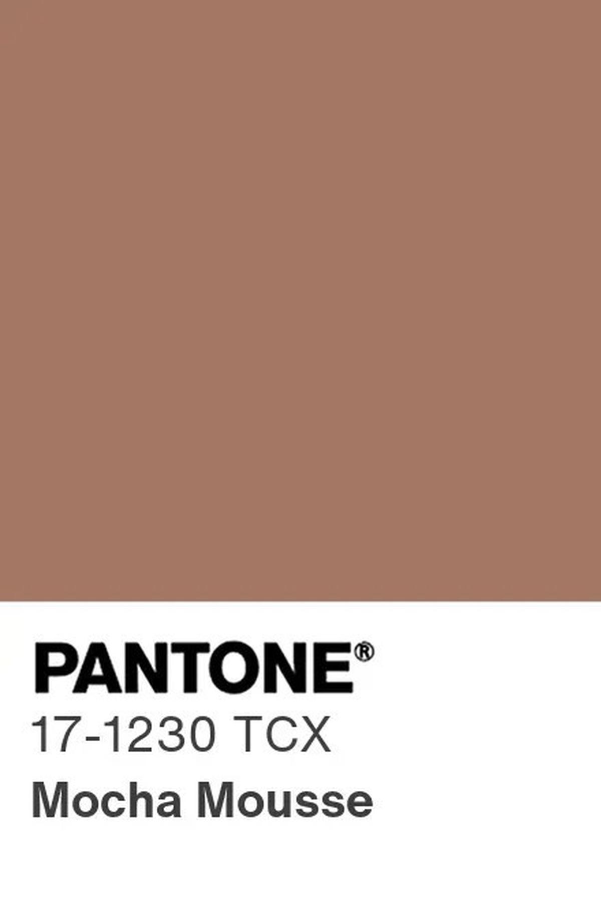 Warna Mocha Mousse
