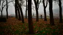 Pejalan kaki melewati deretan pepohonan saat hujan musim gugur di Pamplona, Spanyol, Selasa (20/11). (AP Photo/Alvaro Barrientos)