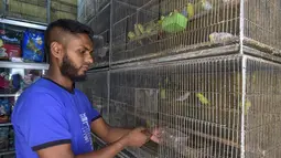 Penjaga toko memberi makan burung di dalam toko hewan peliharaan yang tutup di Dhaka, Bangldesh pada 14 Juli 2021. Ratusan binatang mati di pasar hewan peliharaan terbesar di Dhaka setelah toko-toko terpaksa tutup saat lockdown yang membuat pemilik putus asa dan aktivis marah. (Munir UZ ZAMAN/AFP)