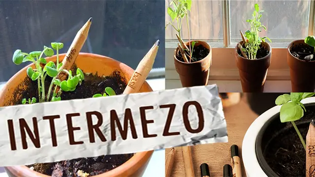 INTERMEZO: Ajaib! Pensil Ini Dapat Tumbuh Jadi Tanaman