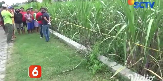 VIDEO: Jasad Wanita Tewas di Kebun Tebu di Jombang