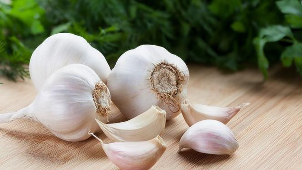 Bawang Putih: Aman Dikonsumsi Setiap Hari?