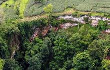 Gua Sebesar Stadion Ini Punya Hutan Bawah Tanah Eksotis, Hidden Gems Tuban yang Berpotensi Viral