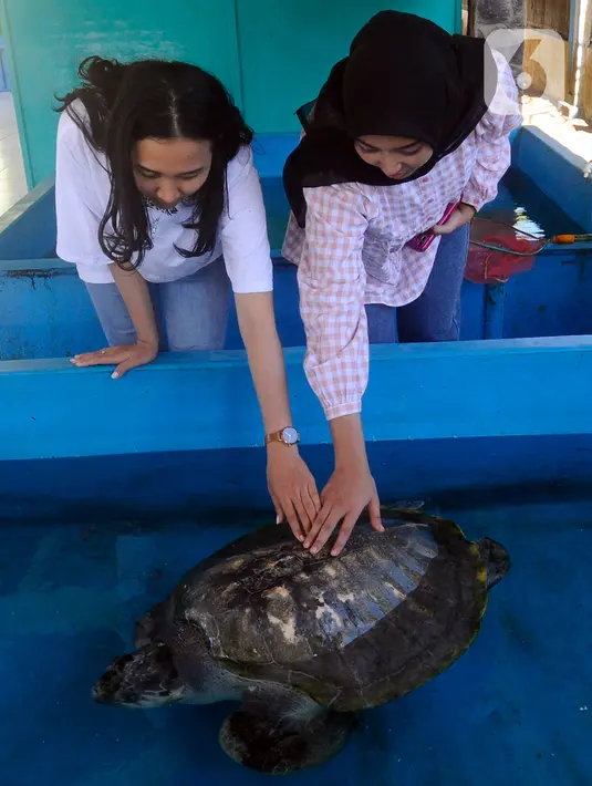 <p>Pemerintah dan masyarakat setempat bahu-membahu menanam pohon mangrove di Pantai Kili-Kili. Selain itu ada pula pohon cemara laut, pandan, kelapa, ketapang, dan sebagainya. (merdeka.com/Arie Basuki)</p>