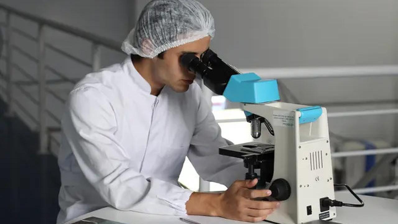 7 Jurusan Kuliah dengan Prospek Kerja Paling Menjanjikan, Apa Saja Ya?