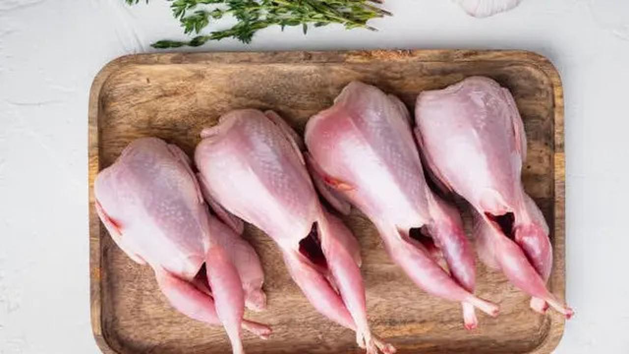 Cara Memasak Burung Puyuh Agar Empuk dan Lezat